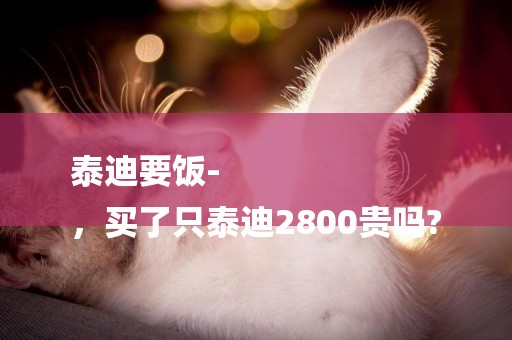 泰迪要飯-
，買了只泰迪2800貴嗎?