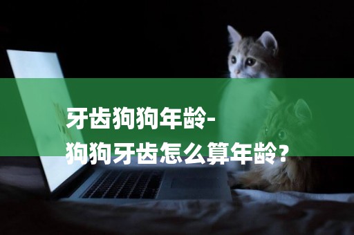 牙齒狗狗年齡-
狗狗牙齒怎么算年齡？