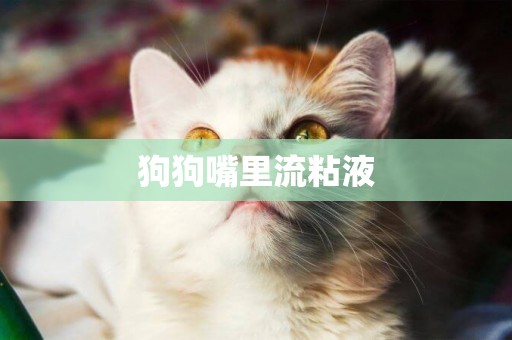 狗狗嘴里流粘液