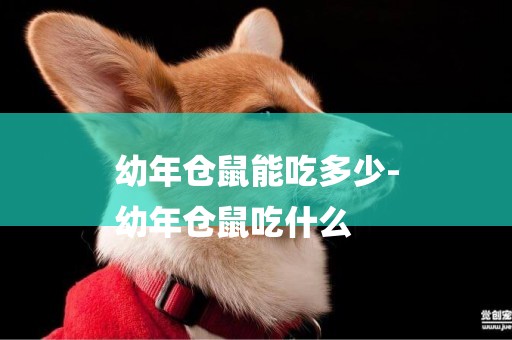 幼年倉鼠能吃多少-
幼年倉鼠吃什么