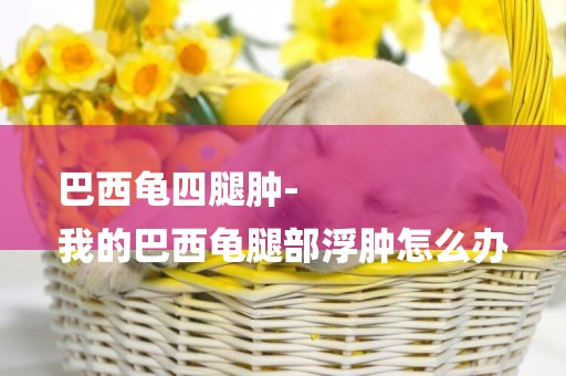 巴西龜四腿腫-
我的巴西龜腿部浮腫怎么辦