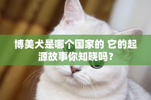 博美犬是哪個國家的 它的起源故事你知曉嗎？