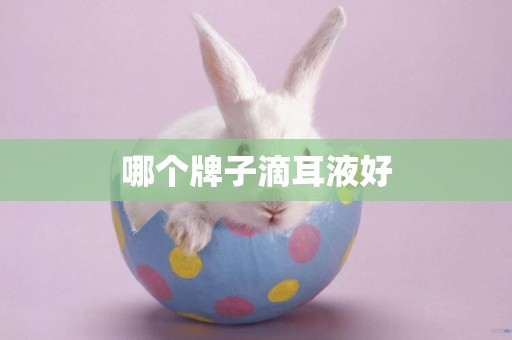 哪個牌子滴耳液好