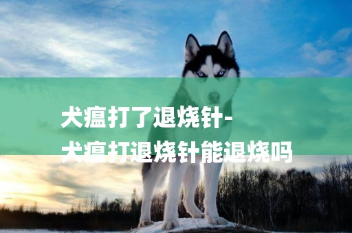 犬瘟打了退燒針-
犬瘟打退燒針能退燒嗎