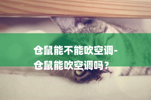 倉鼠能不能吹空調-
倉鼠能吹空調嗎？