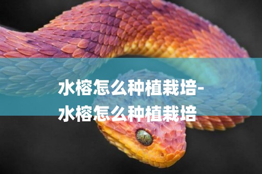 水榕怎么種植栽培-
水榕怎么種植栽培