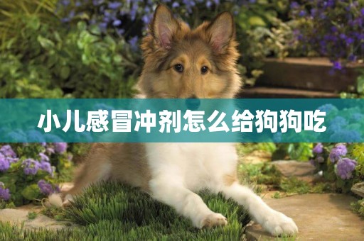小兒感冒沖劑怎么給狗狗吃