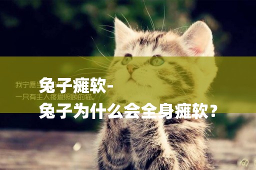 兔子癱軟-
兔子為什么會全身癱軟？