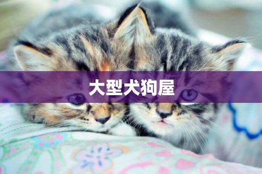 大型犬狗屋