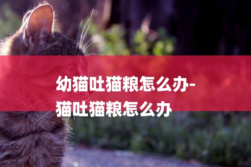 幼貓吐貓糧怎么辦-
貓吐貓糧怎么辦