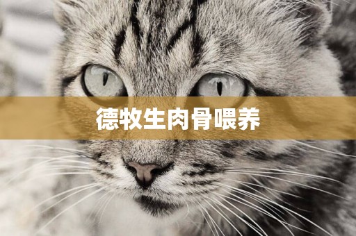 德牧生肉骨喂養