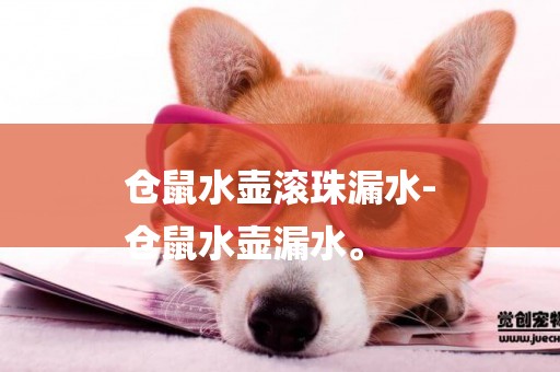 倉鼠水壺滾珠漏水-
倉鼠水壺漏水。