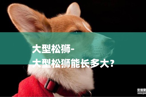 大型松獅-
大型松獅能長多大？