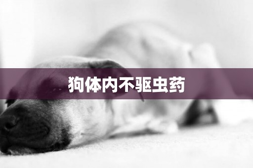 狗體內不驅蟲藥