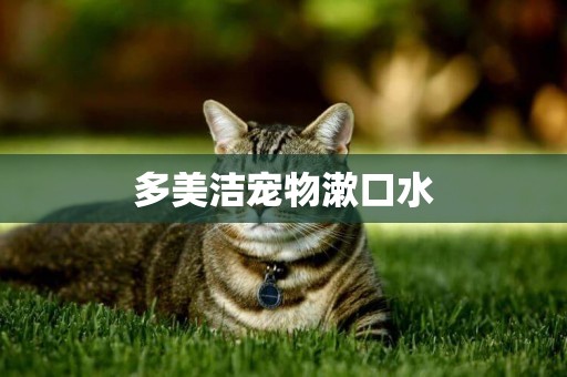 多美潔寵物漱口水
