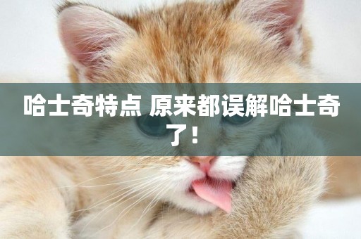 哈士奇特點 原來都誤解哈士奇了！