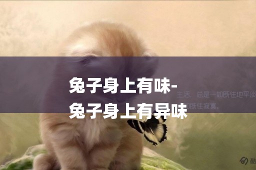 兔子身上有味-
兔子身上有異味