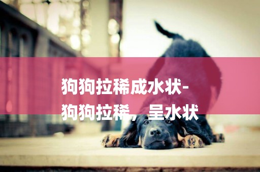狗狗拉稀成水狀-
狗狗拉稀，呈水狀