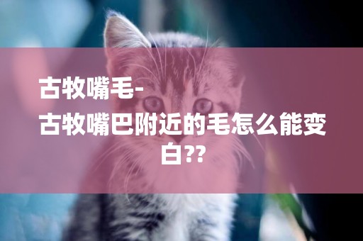 古牧嘴毛-
古牧嘴巴附近的毛怎么能變白??
