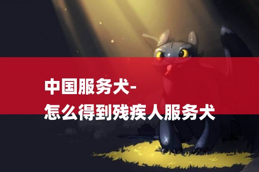 中國服務犬-
怎么得到殘疾人服務犬