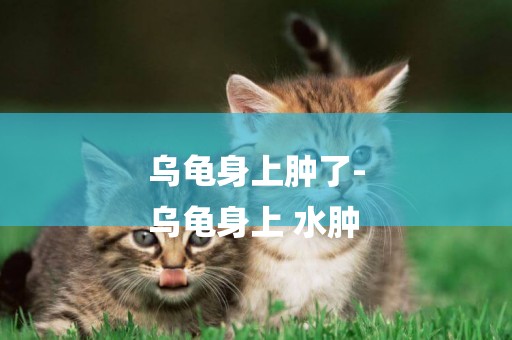 烏龜身上腫了-
烏龜身上 水腫
