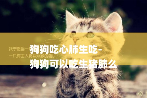 狗狗吃心肺生吃-
狗狗可以吃生豬肺么
