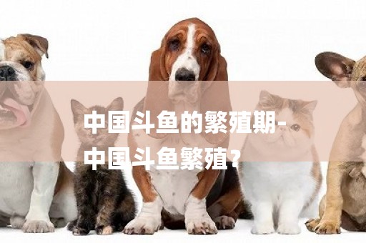 中國斗魚的繁殖期-
中國斗魚繁殖？