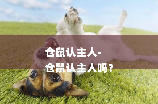 倉鼠認主人-
倉鼠認主人嗎？