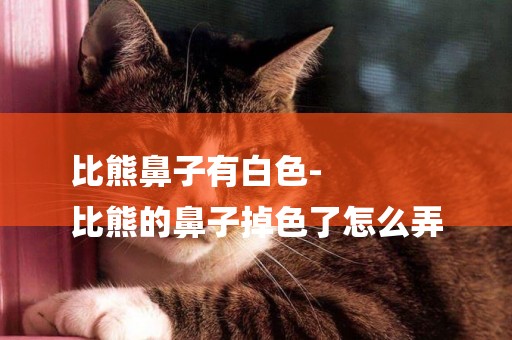 比熊鼻子有白色-
比熊的鼻子掉色了怎么弄