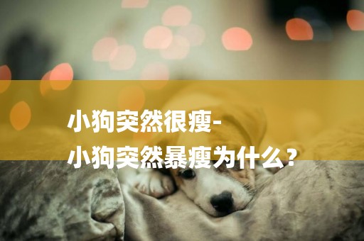 小狗突然很瘦-
小狗突然暴瘦為什么？