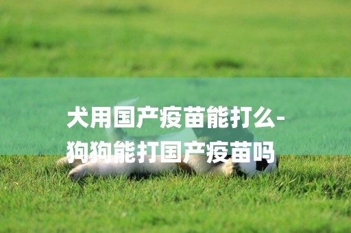 犬用國產疫苗能打么-
狗狗能打國產疫苗嗎