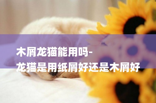 木屑龍貓能用嗎-
龍貓是用紙屑好還是木屑好