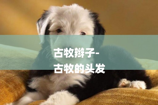 古牧辮子-
古牧的頭發