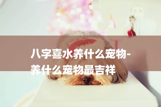 八字喜水養什么寵物-
養什么寵物最吉祥