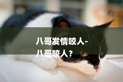 八哥發情咬人-
八哥咬人？