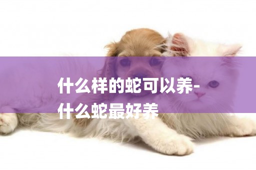 什么樣的蛇可以養-
什么蛇最好養