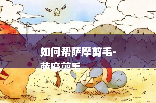 如何幫薩摩剪毛-
薩摩剪毛