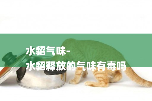 水貂氣味-
水貂釋放的氣味有毒嗎