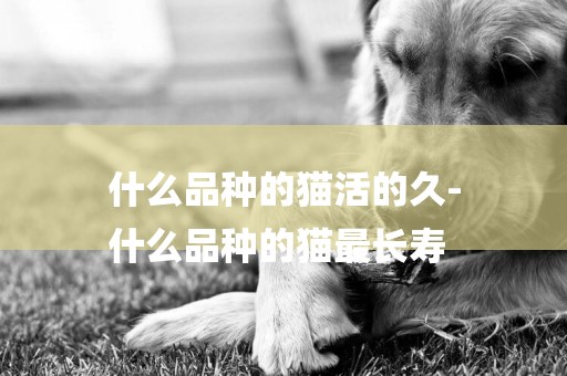 什么品種的貓活的久-
什么品種的貓最長壽