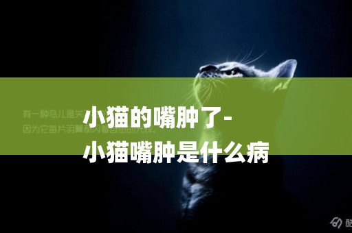 小貓的嘴腫了-
小貓嘴腫是什么病