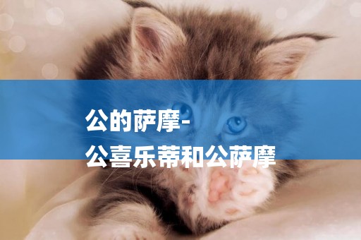 公的薩摩-
公喜樂蒂和公薩摩
