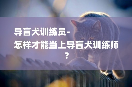 導盲犬訓練員-
怎樣才能當上導盲犬訓練師？
