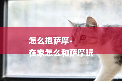 怎么抱薩摩-
在家怎么和薩摩玩
