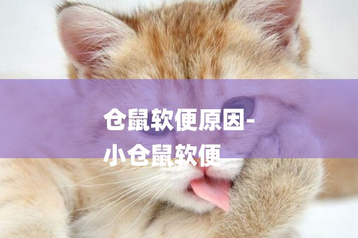 倉鼠軟便原因-
小倉鼠軟便