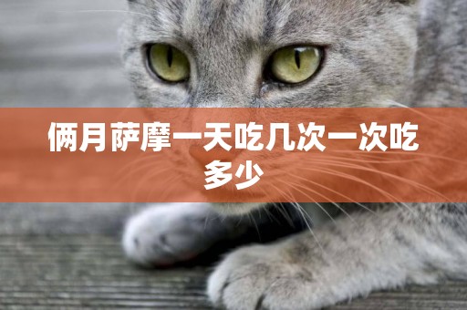 倆月薩摩一天吃幾次一次吃多少