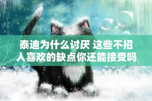 泰迪為什么討厭 這些不招人喜歡的缺點你還能接受嗎？