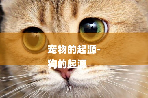 寵物的起源-
狗的起源