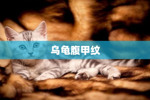 烏龜腹甲紋