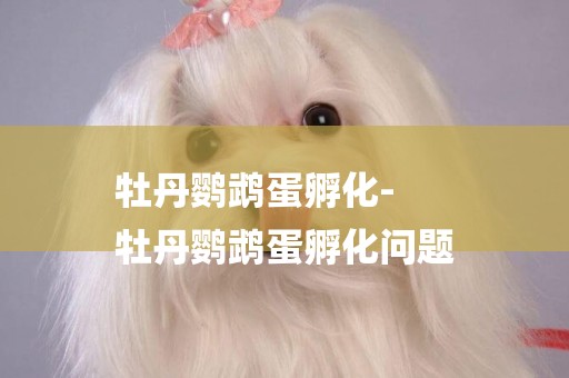 牡丹鸚鵡蛋孵化-
牡丹鸚鵡蛋孵化問題