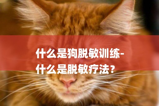 什么是狗脫敏訓練-
什么是脫敏療法？